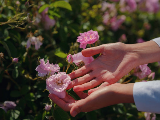 Pflanzliche Power in der Lebensmitte: Dr.Schreibers® Femfloral