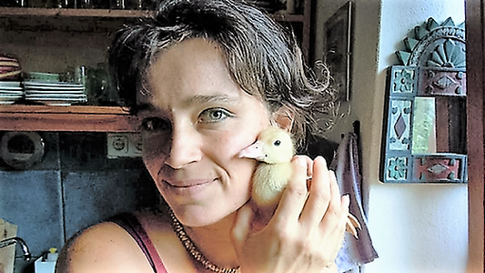 Essen für ein gutes Leben - gute Ernährung ist wichtig im Wechsel!