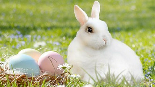 Sinnvolle Ostergeschenke für starke Frauen