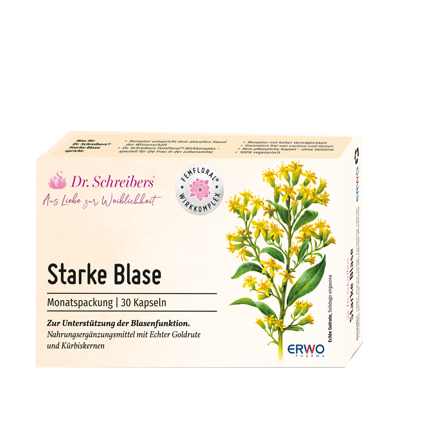 Starke Blase